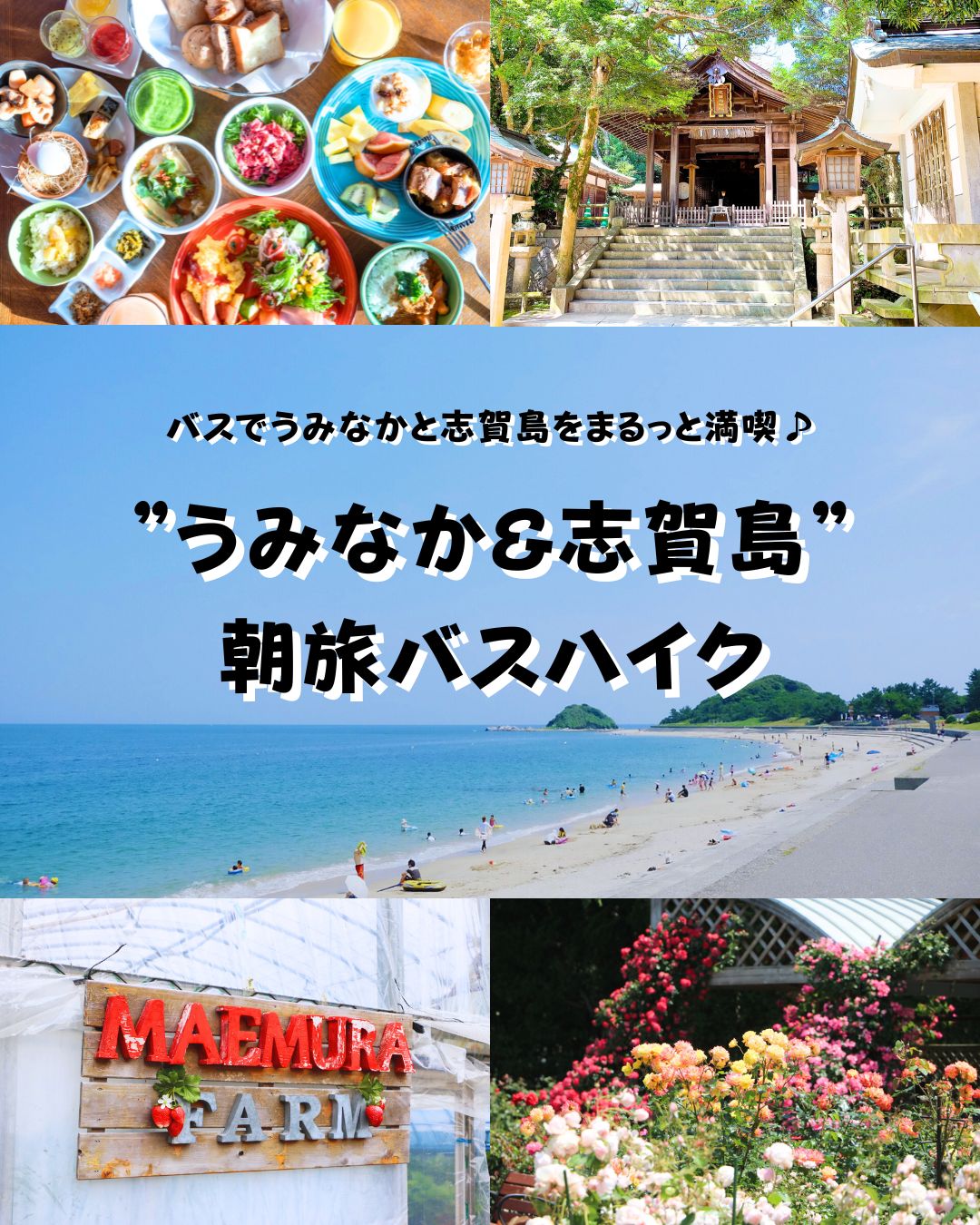 「“うみなか＆志賀島” 朝旅バスハイク」開催！