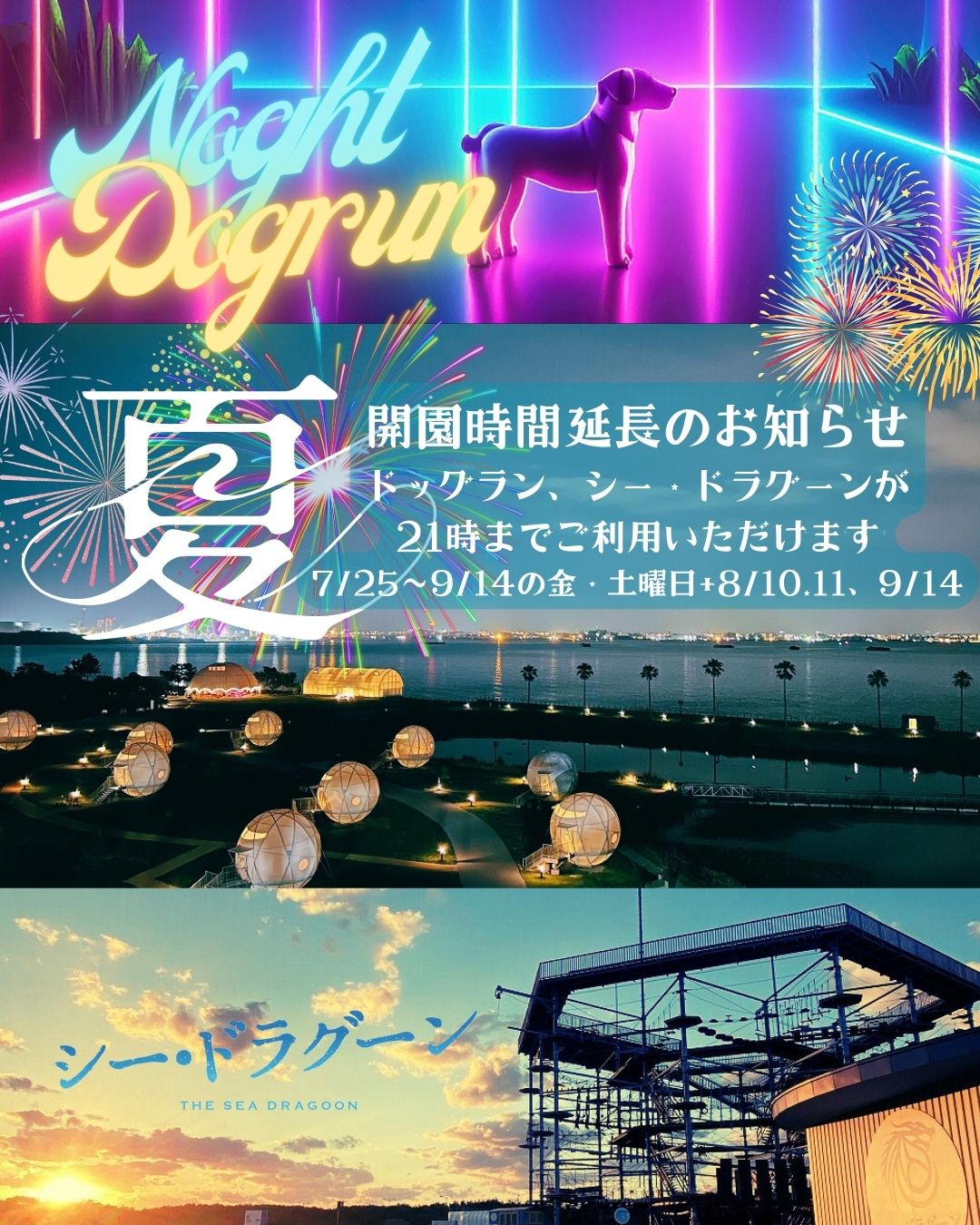 シー・ドラグーン、ドッグラン 夜間営業