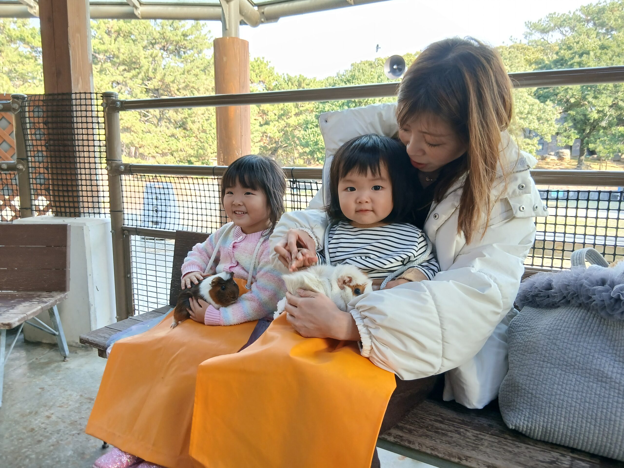 動物ふれあい体験