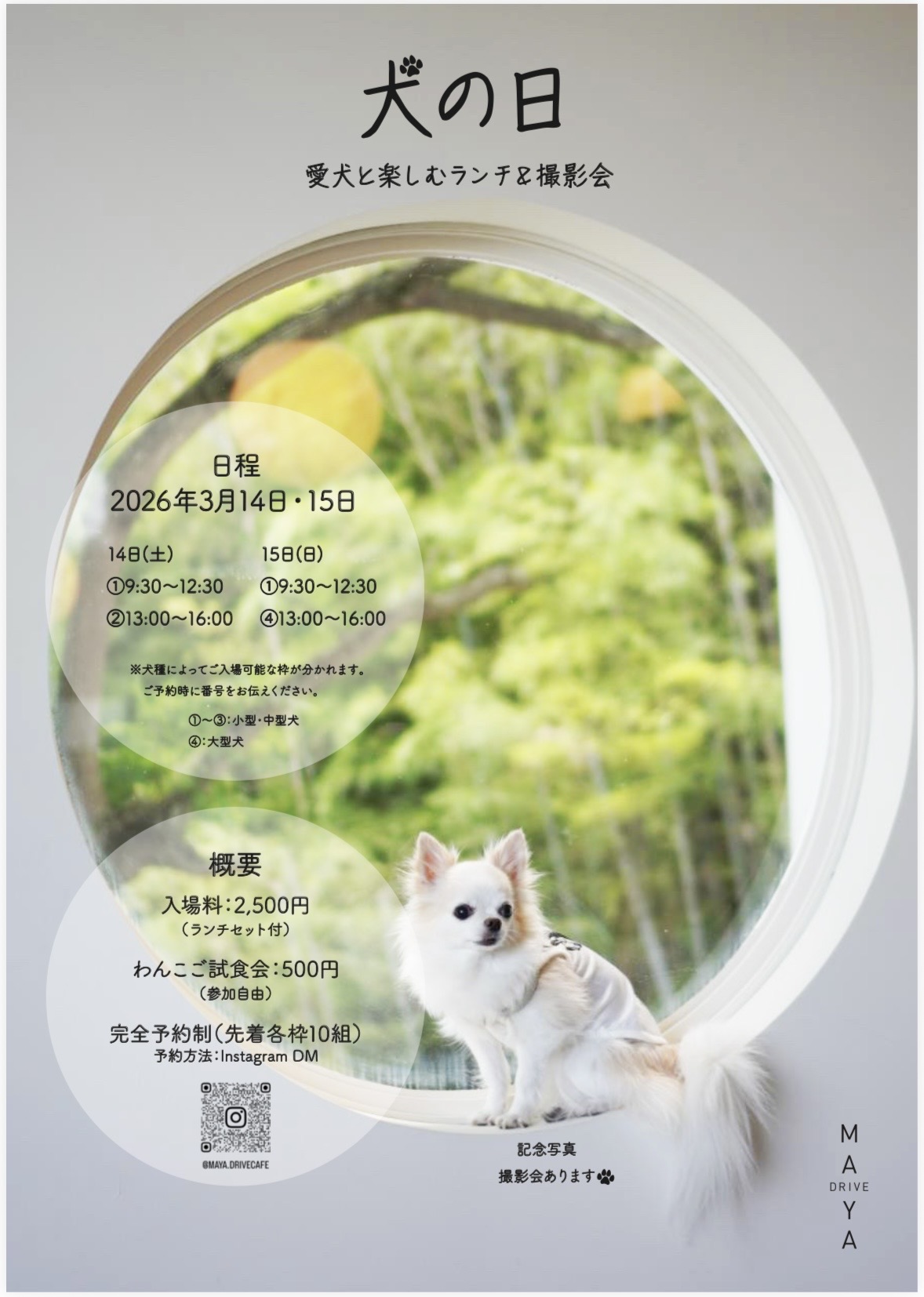 MAYA DRIVE CAFE「犬の日」